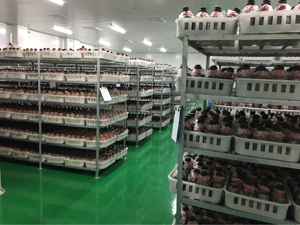 3044am����(�й�)���Źٷ���վ