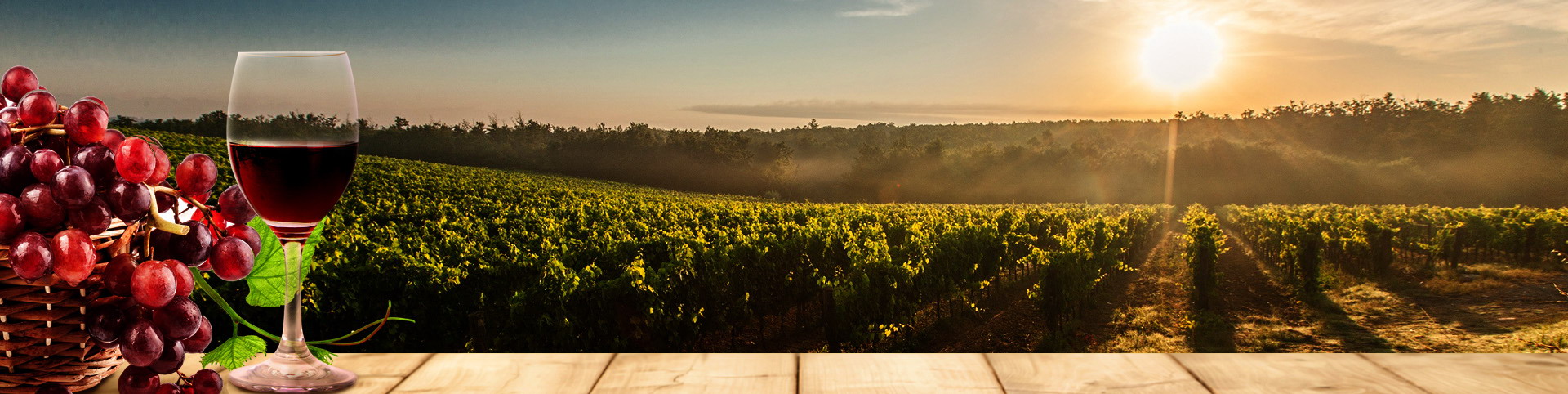 3044am����(�й�)���Źٷ���վ