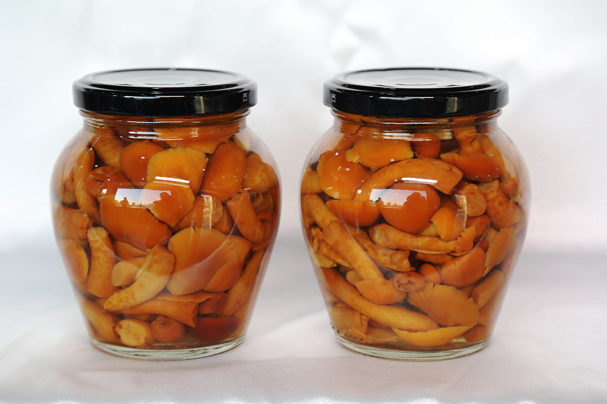 3044am����(�й�)���Źٷ���վ