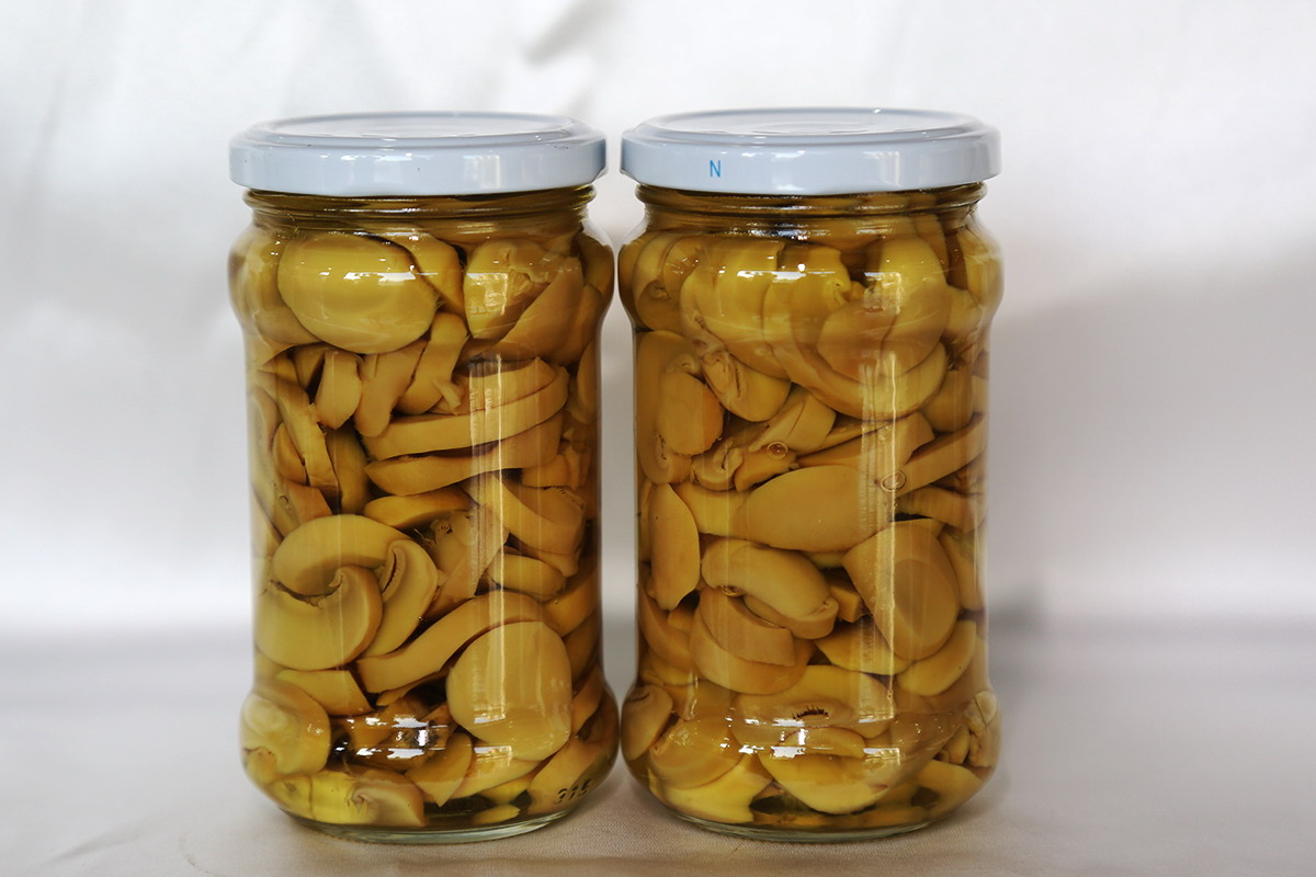 3044am����(�й�)���Źٷ���վ