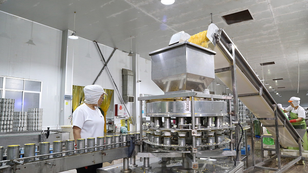 3044am����(�й�)���Źٷ���վ