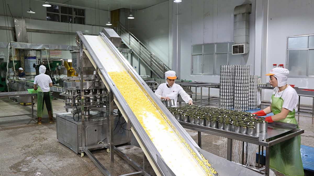 3044am����(�й�)���Źٷ���վ